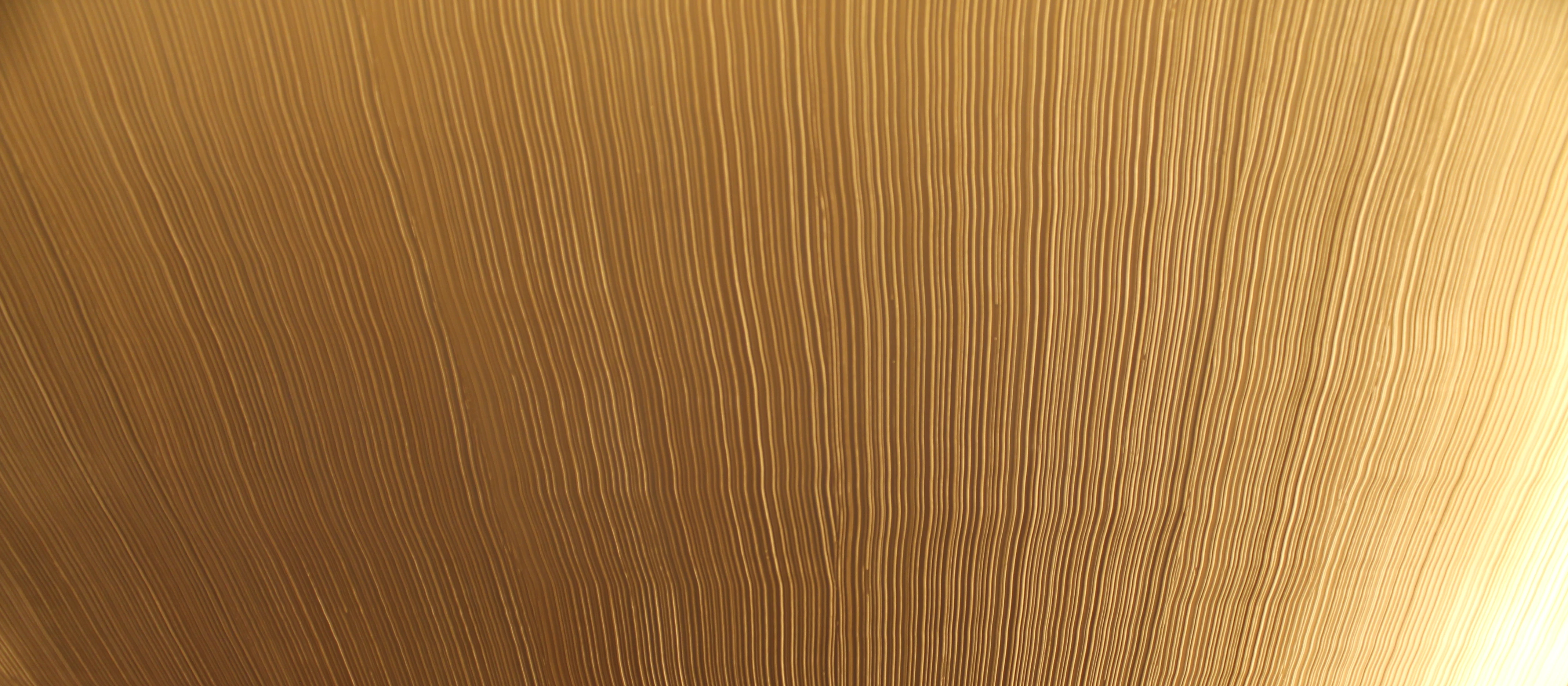 Fendi-Oberfläche — Exklusives Panel